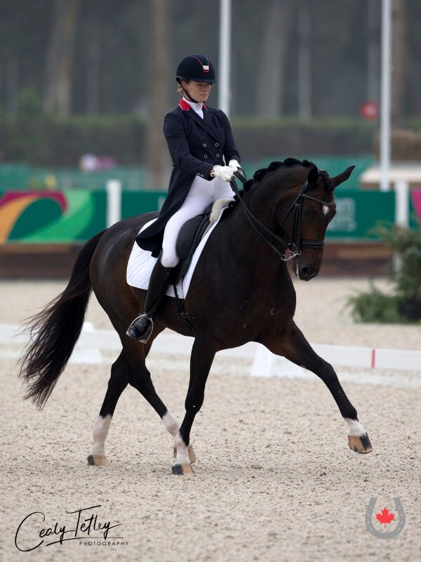 Canadian Dressage Athlete Tina Irwin Returns to Podium for Individual Silver at Lima 2019 Pan Am Games